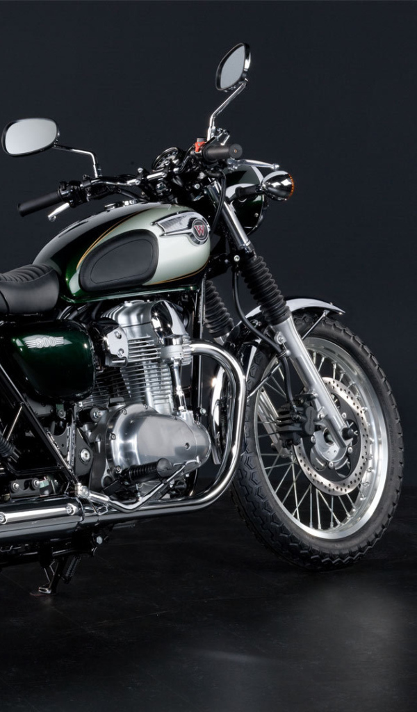 Красивый мотоцикл Kawasaki W 800