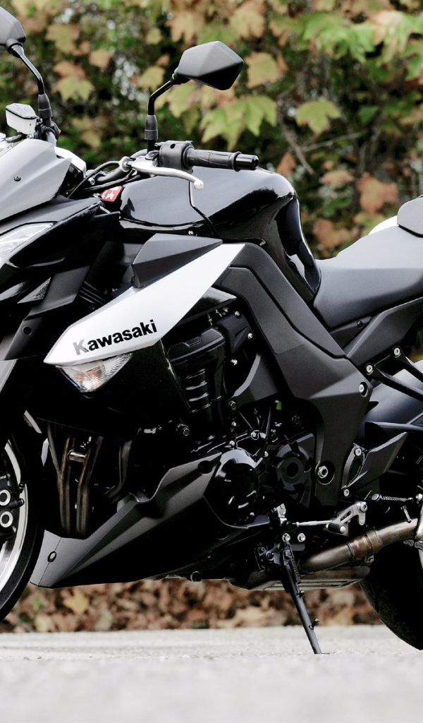 Красивый мотоцикл Kawasaki Z 1000