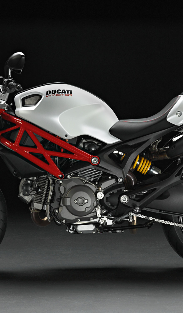 Красивый мотоцикл в москве Ducati Monster 796 Corse Stripe