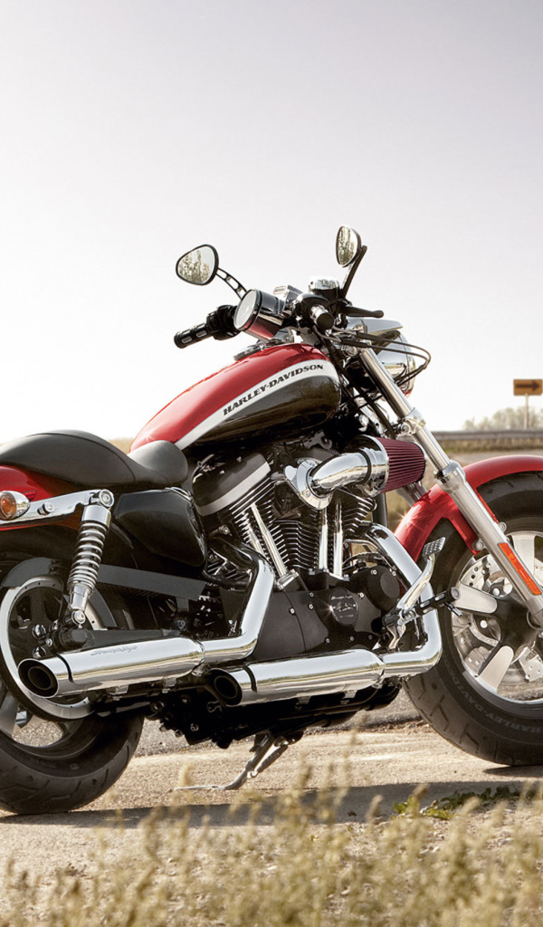 Красивый мотоцикл в москве Harley-Davidson XL 1200C Sportster Custom