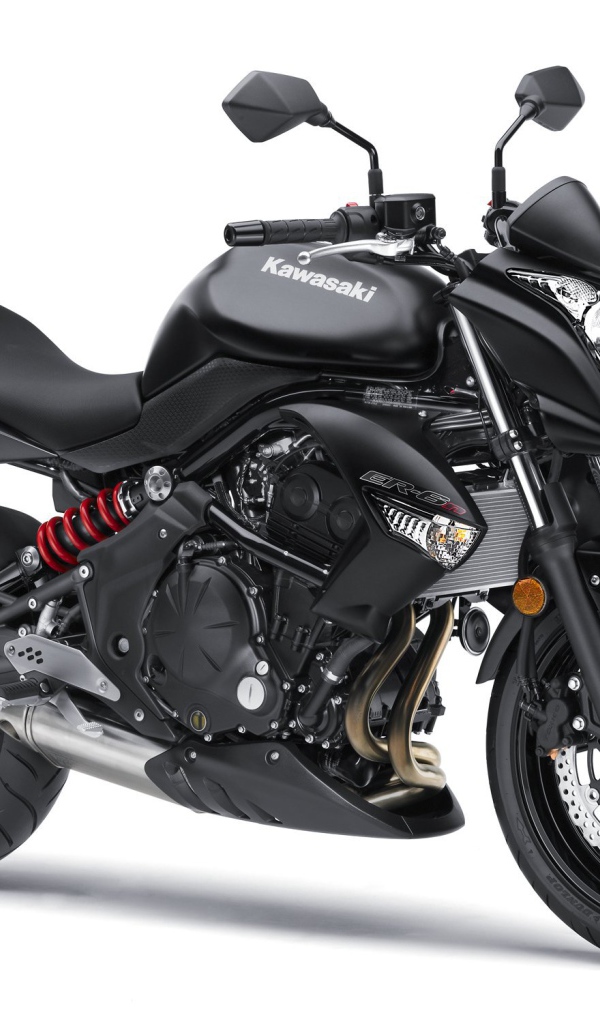 Быстрый мотоцикл Kawasaki ER-6n