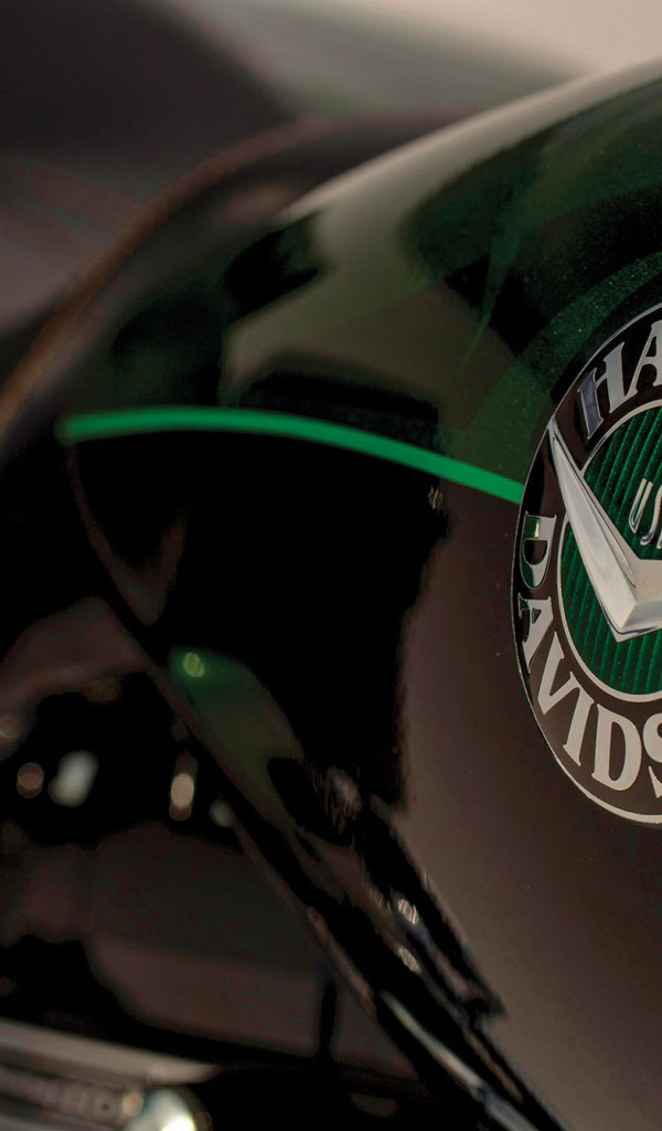 Быстрый мотоцикл Harley-Davidson CVO Road King