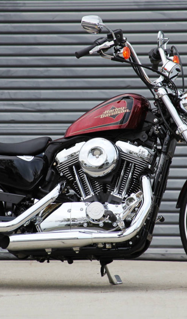 Быстрый мотоцикл Harley-Davidson XL 1200V Sportster Seventy-Two