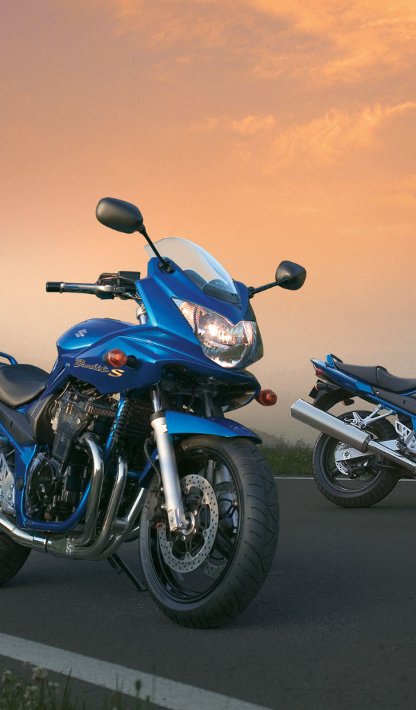 Быстрый мотоцикл Suzuki GSF 650