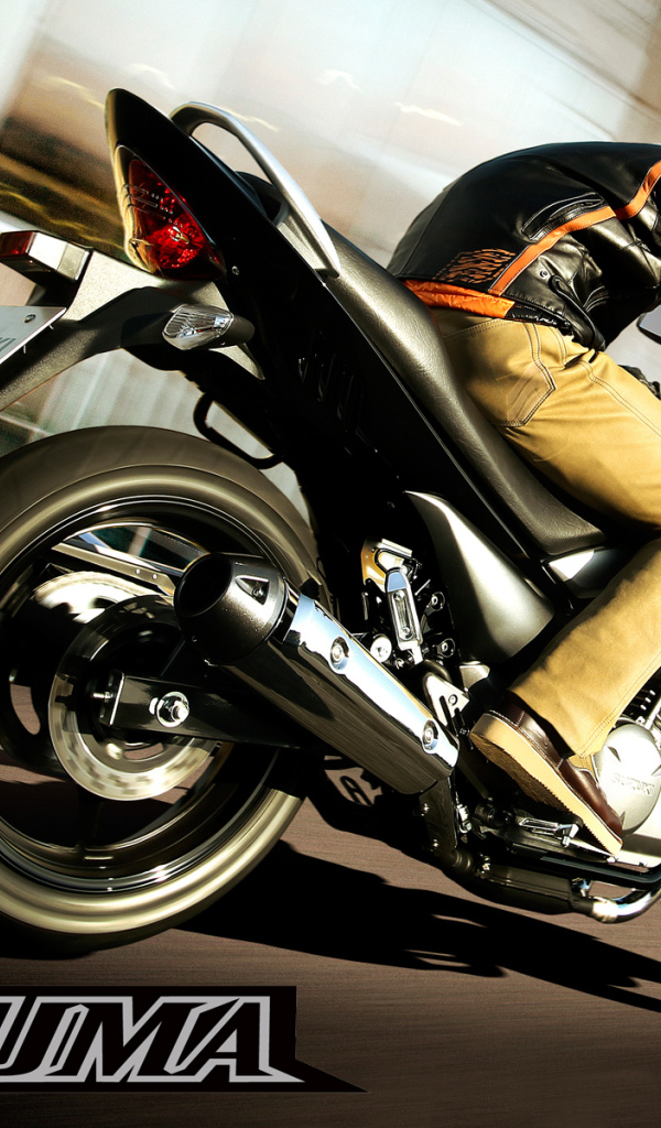 Быстрый мотоцикл Suzuki  Inazuma