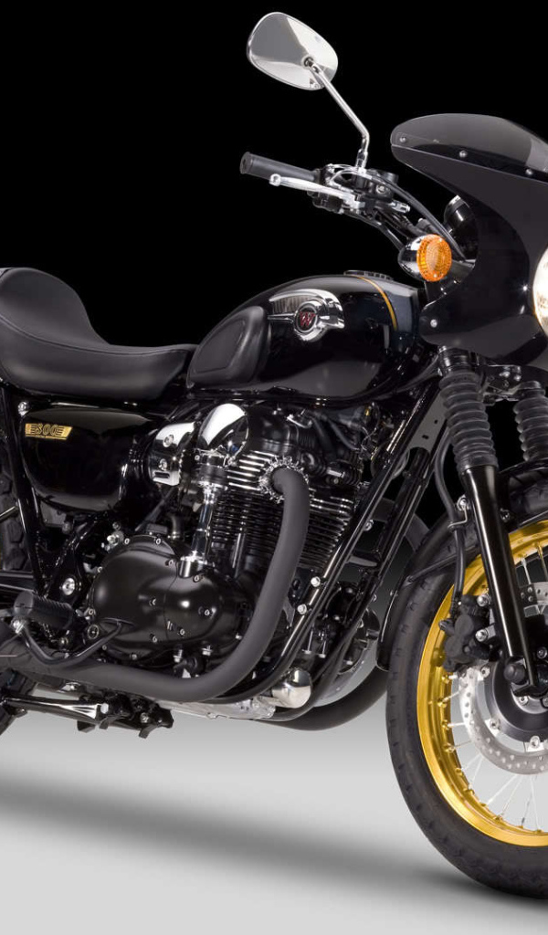 Быстрый мотоцикл Kawasaki W 800