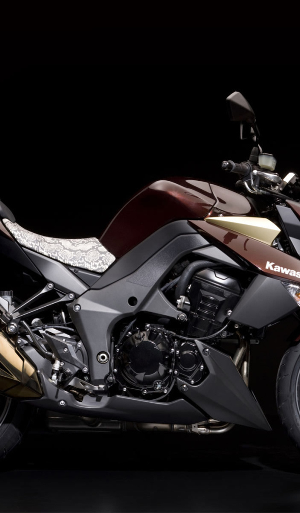 Быстрый мотоцикл Kawasaki Z 1000