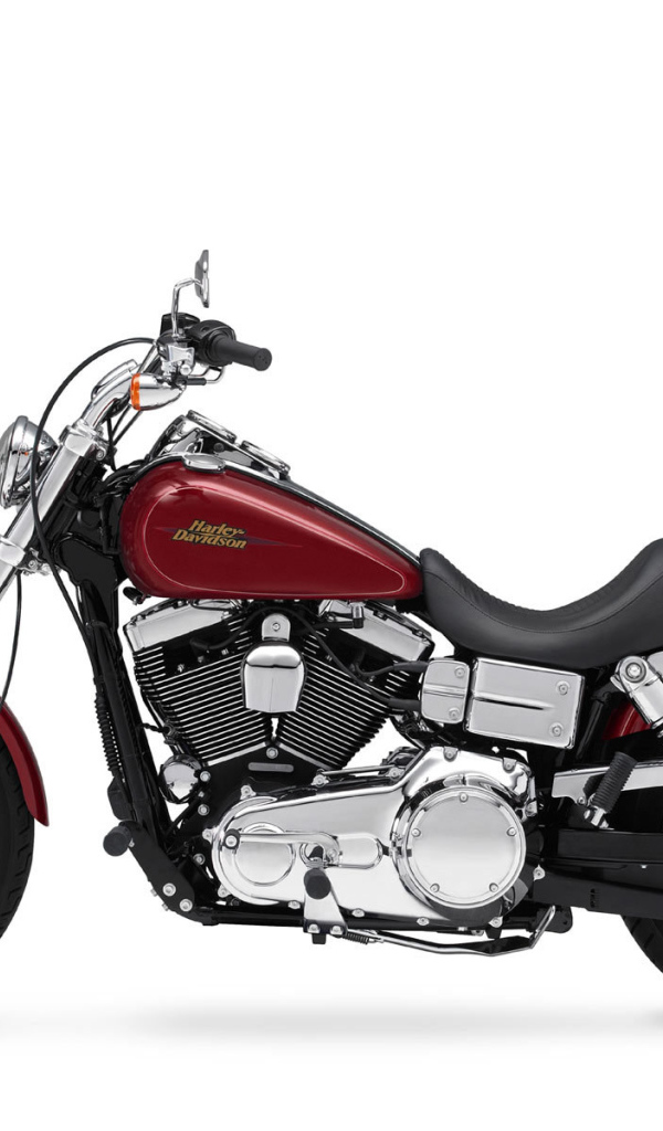 Невероятный мотоцикл Harley-Davidson Dyna Fat Bob