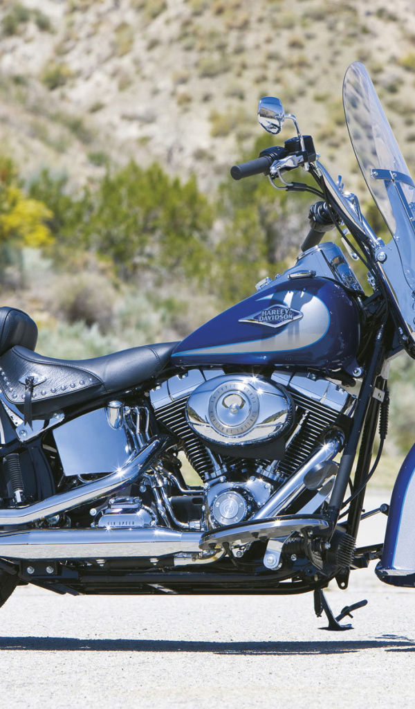 Невероятный мотоцикл Harley-Davidson Heritage Softail