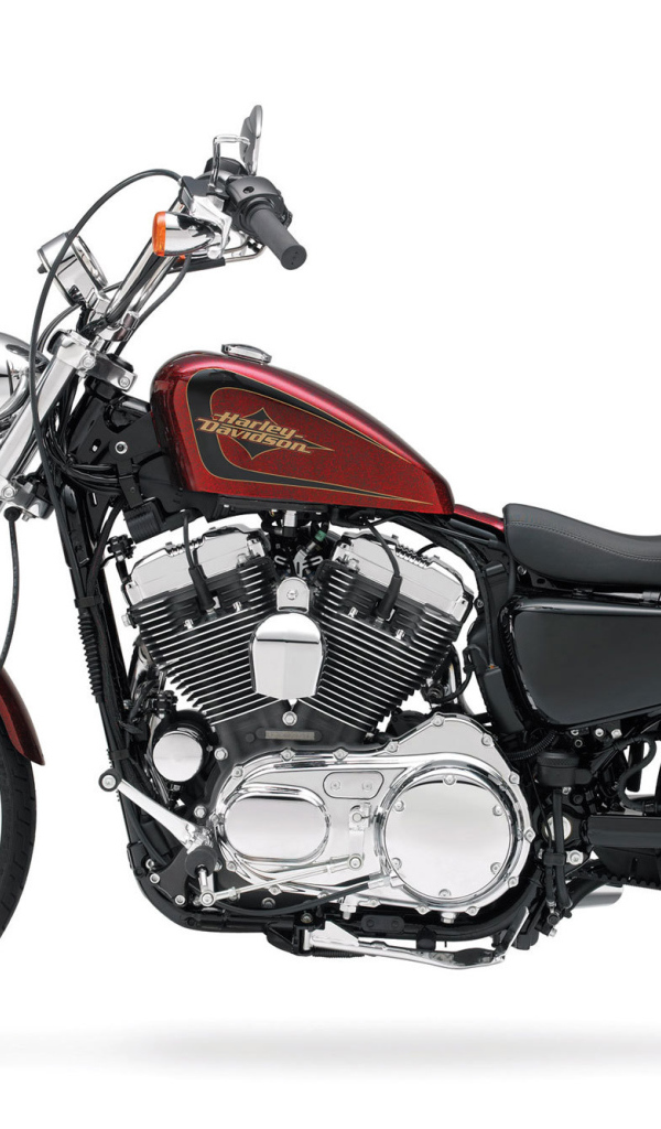 Невероятный мотоцикл Harley-Davidson XL 1200V Sportster Seventy-Two