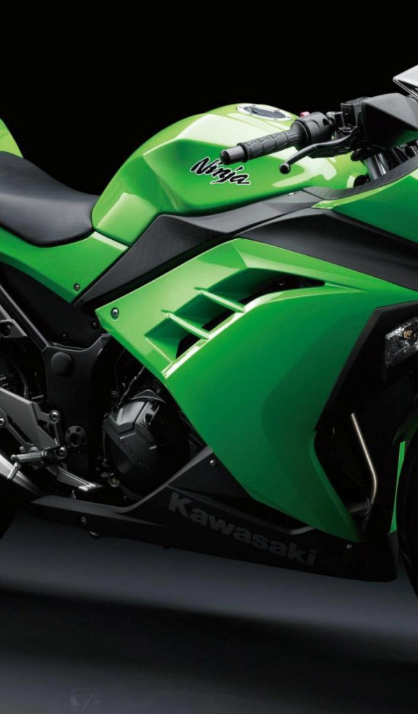 Невероятный мотоцикл Kawasaki Ninja 300