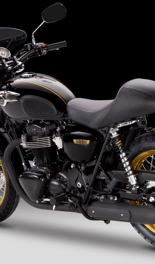 Невероятный мотоцикл Kawasaki W 800