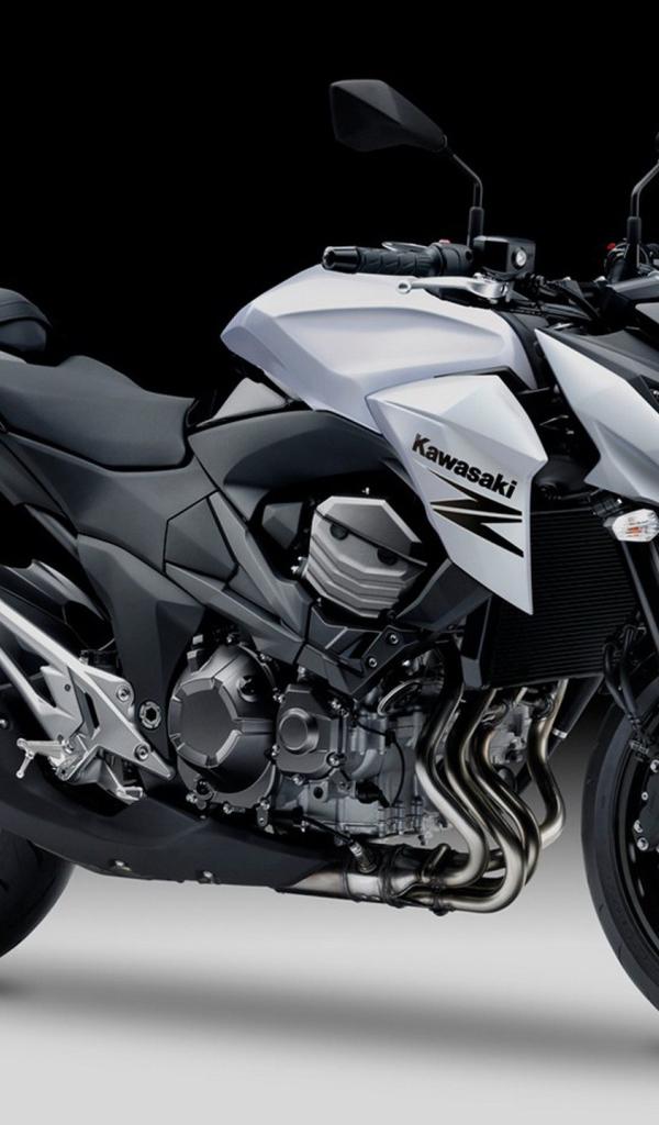 Невероятно быстрый мотоцикл Kawasaki Z 800