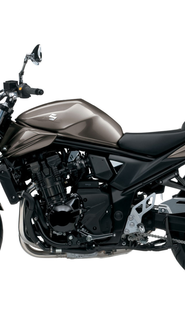 Невероятно быстрый мотоцикл Suzuki  GSF 1250 S