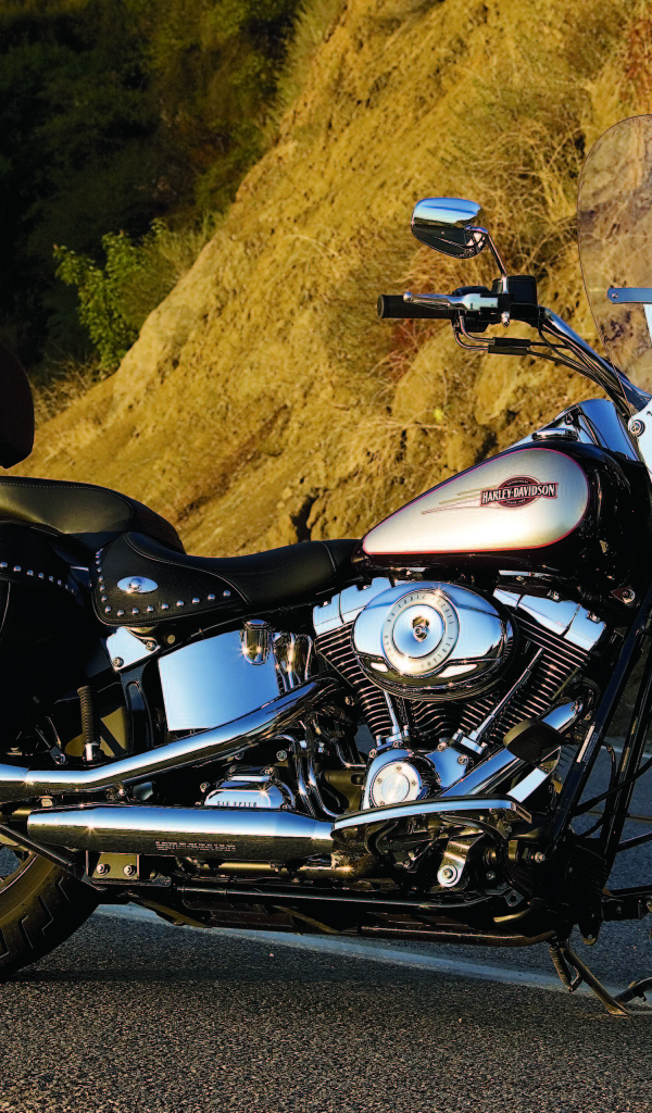 Невероятно быстрый мотоцикл Harley-Davidson Heritage Softail