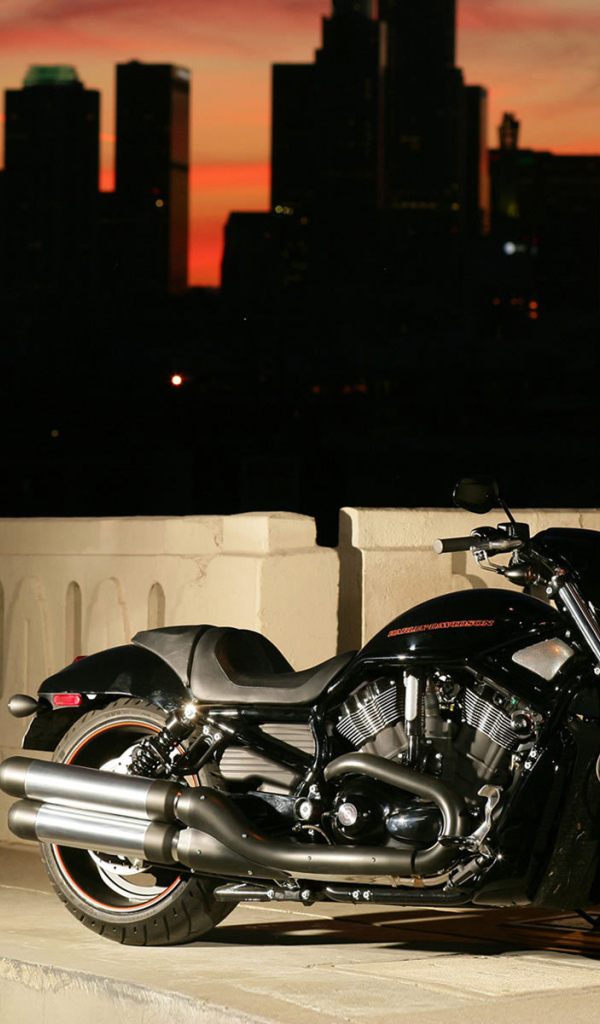 Невероятно быстрый мотоцикл Harley-Davidson Night Rod Special