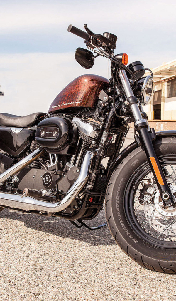Невероятно быстрый мотоцикл Harley-Davidson XL 1200X Sportster Forty-Eight