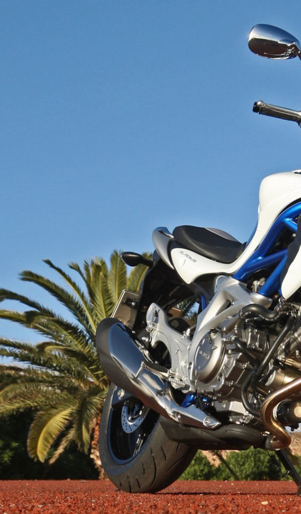 Мотоцикл Suzuki модели SFV 650