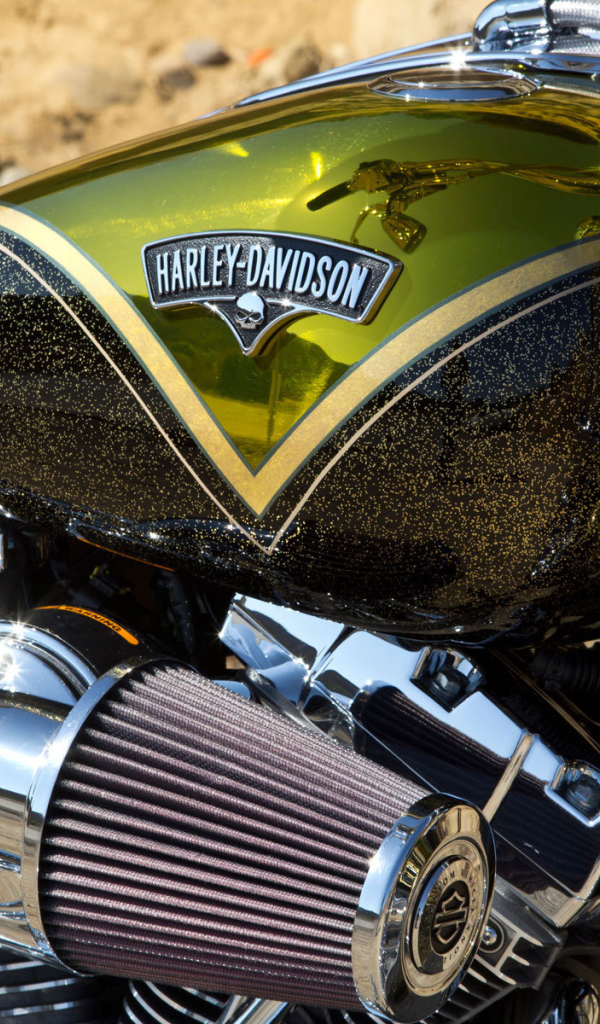 Мотоцикл модели Harley-Davidson CVO Breakout