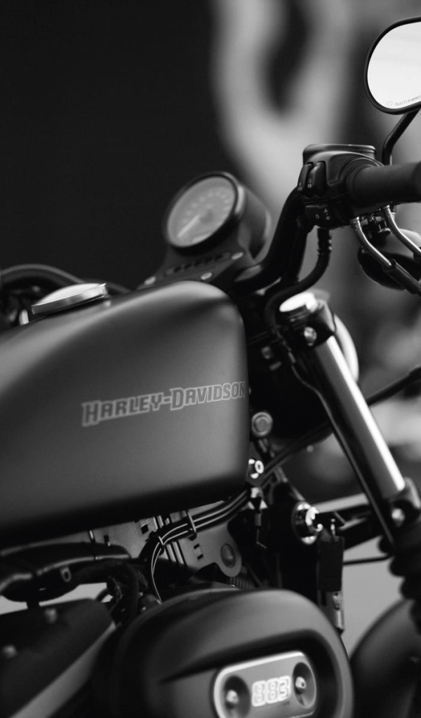 Мотоцикл модели Harley-Davidson XL 883N Sportster Iron