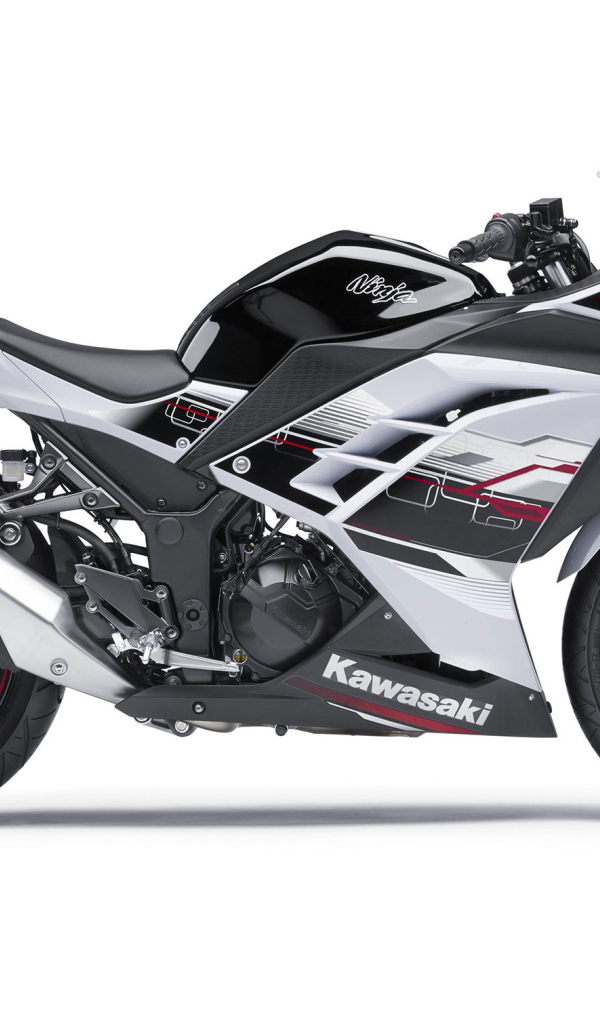 Новый мотоцикл Kawasaki Ninja 300