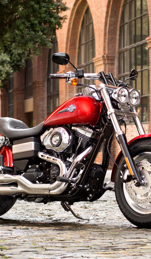 Новый мотоцикл на дороге Harley-Davidson Dyna Fat Bob