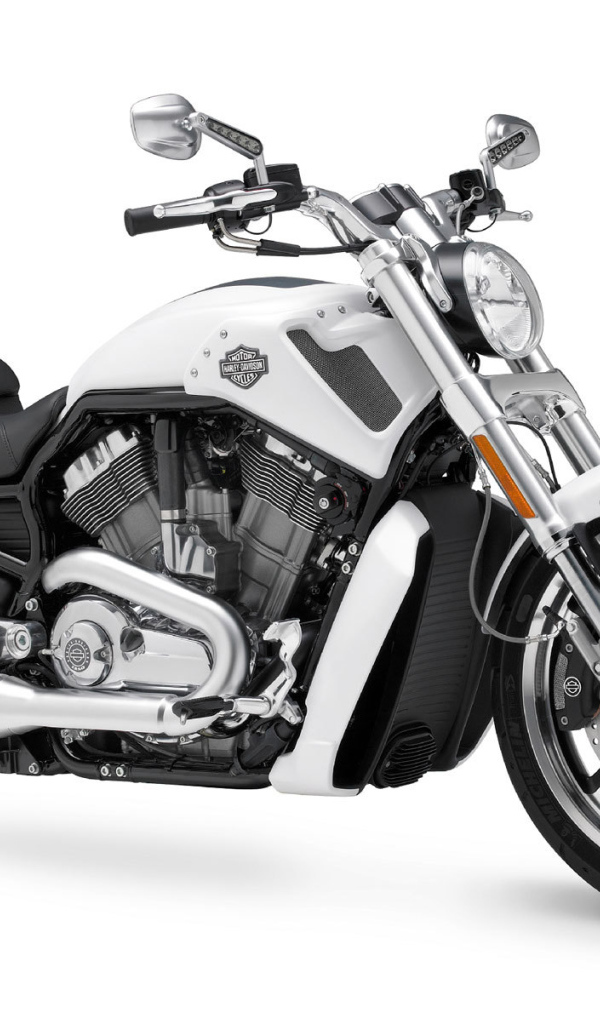 Новый мотоцикл на дороге Harley-Davidson V-Rod Muscle