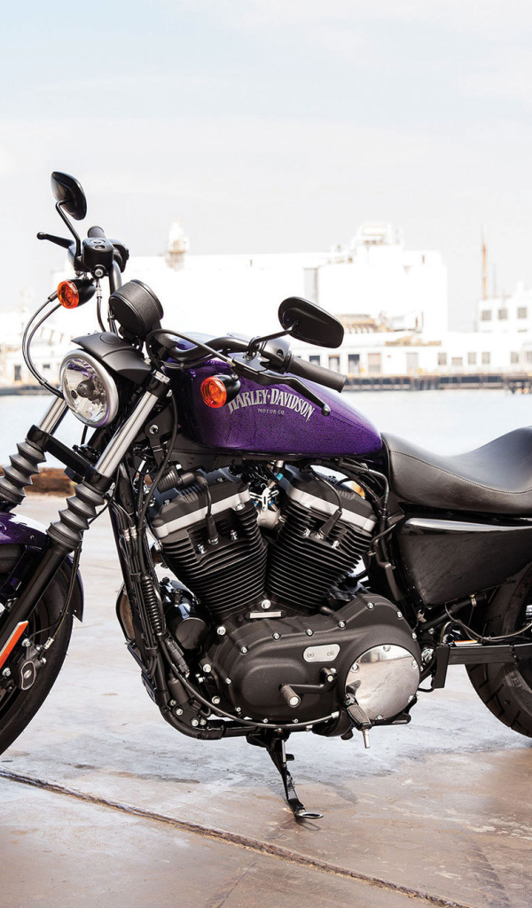 Новый мотоцикл на дороге Harley-Davidson XL 883N Sportster Iron