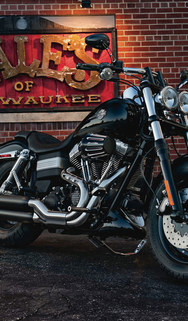 Новый мотоцикл Harley-Davidson Dyna Fat Bob