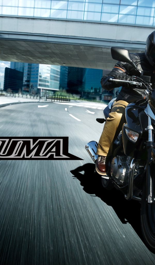 Новый надежный мотоцикл Suzuki   Inazuma