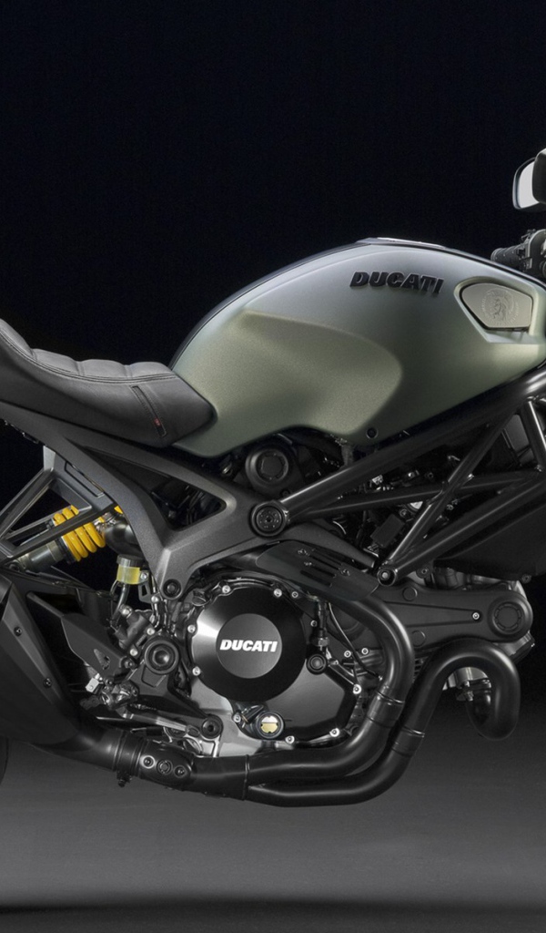 Популярный мотоцикл Ducati Monster Diesel