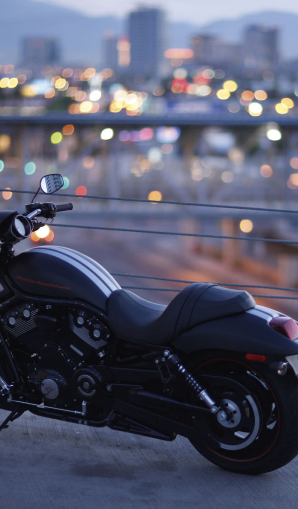 Популярный мотоцикл Harley-Davidson Night Rod Special