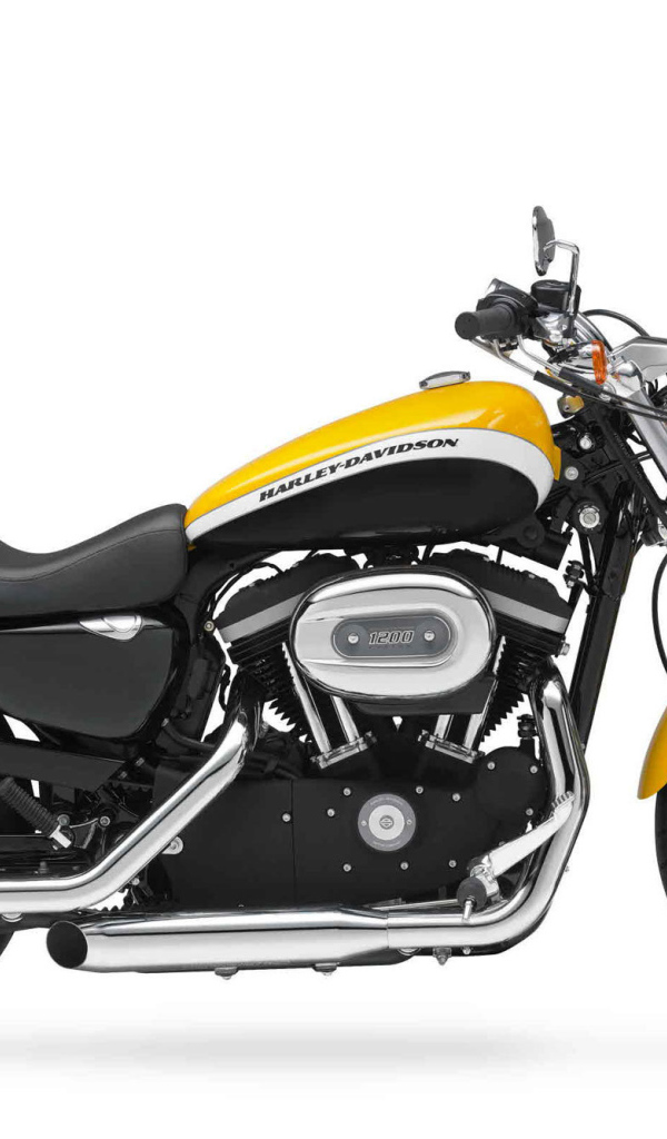 Популярный мотоцикл Harley-Davidson XL 1200C Sportster Custom