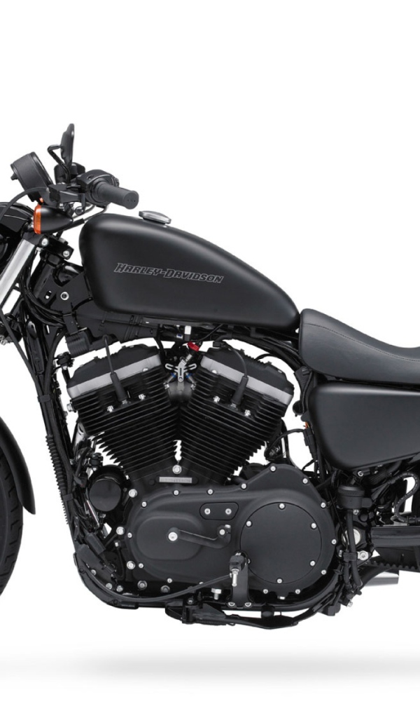 Популярный мотоцикл Harley-Davidson XL 883N Sportster Iron