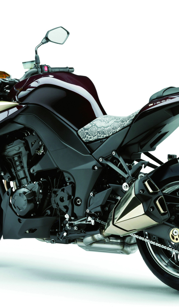 Популярный мотоцикл Kawasaki Z 1000