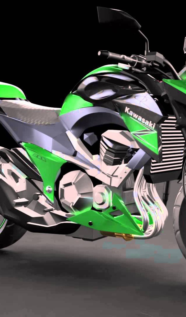 Популярный мотоцикл Kawasaki Z 800