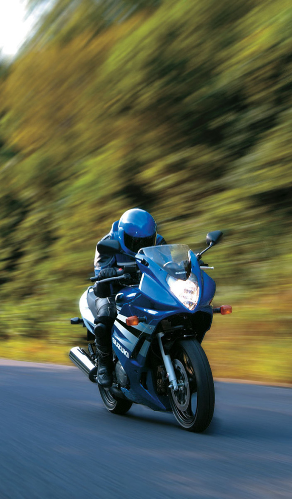 Популярный мотоцикл Suzuki  GS 500 F