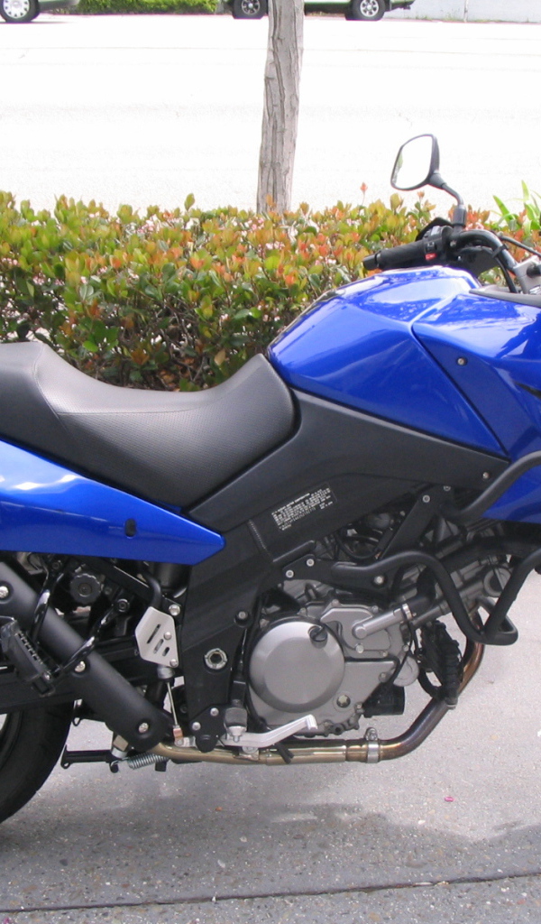 Популярный мотоцикл Suzuki V-Storm 1000  DL