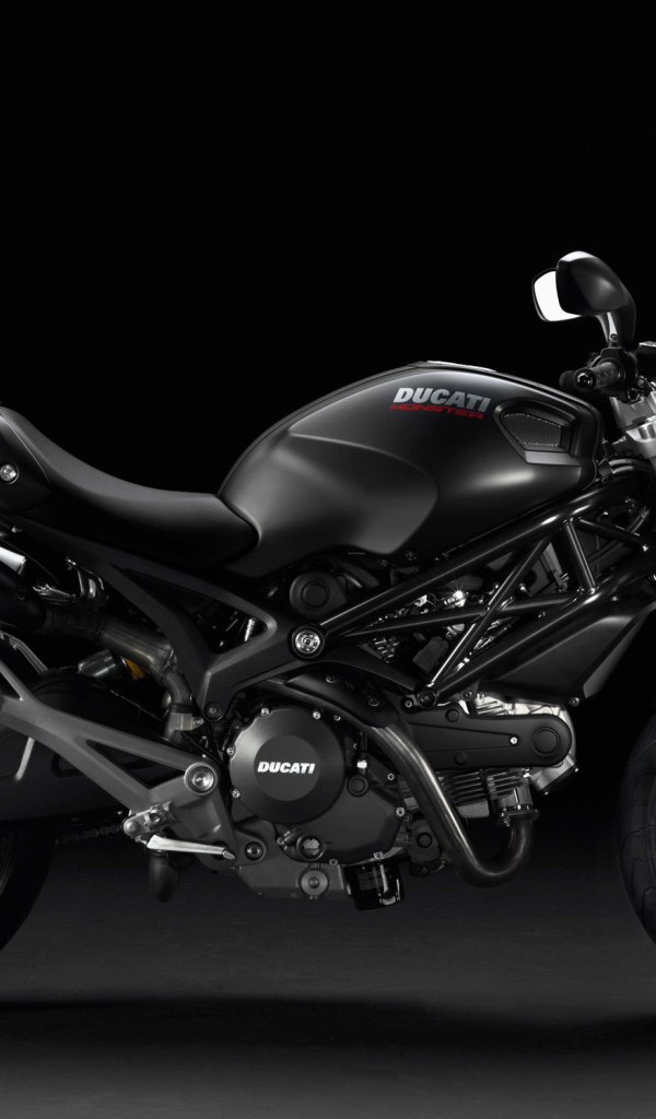 Надежный мотоцикл Ducati Monster Diesel