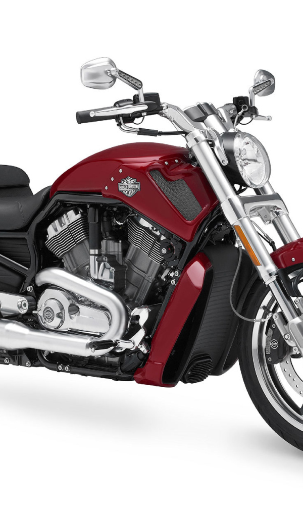 Надежный мотоцикл Harley-Davidson V-Rod Muscle