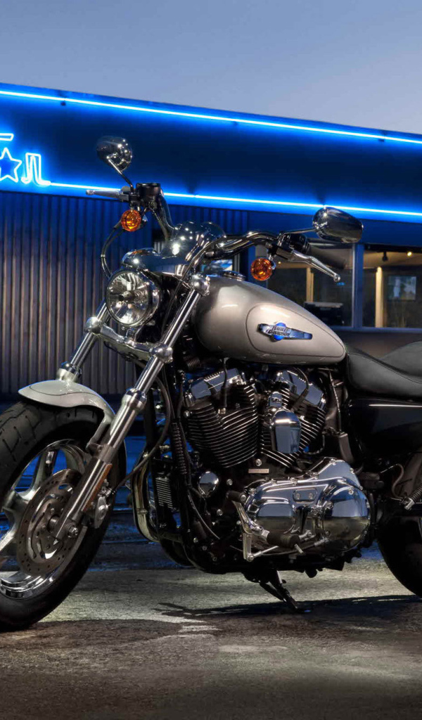 Надежный мотоцикл Harley-Davidson XL 1200C Sportster Custom