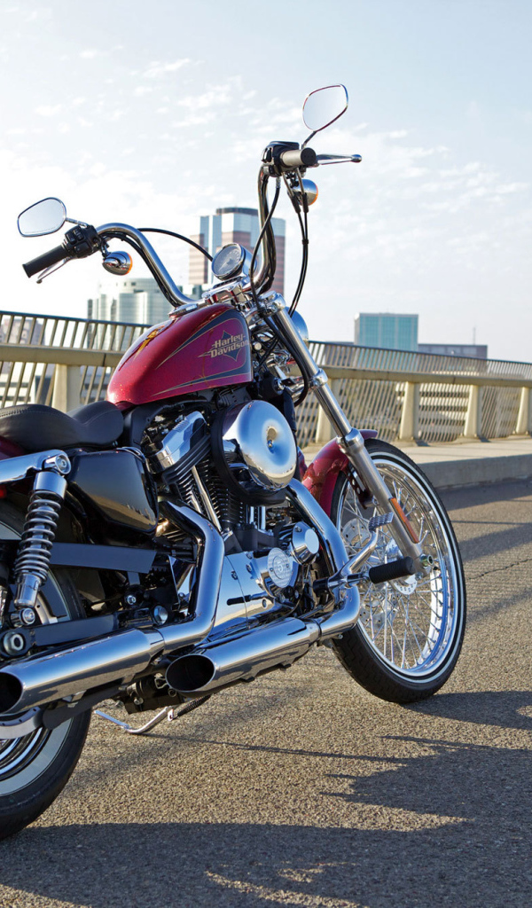 Надежный мотоцикл Harley-Davidson XL 1200V Sportster Seventy-Two