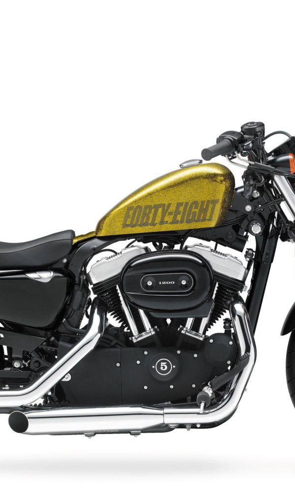 Надежный мотоцикл Harley-Davidson XL 1200X Sportster Forty-Eight