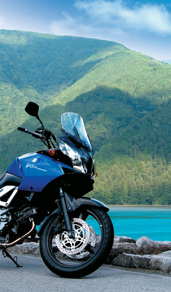 Мотоцикл Suzuki модели V-Storm 1000  DL