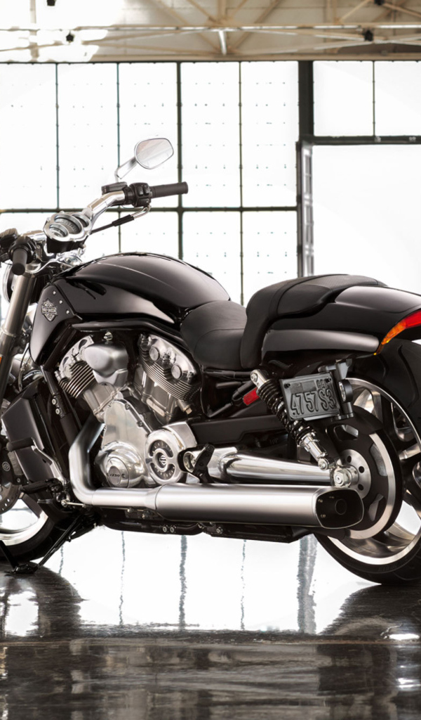 Тест-драйв мотоцикла Harley-Davidson V-Rod Muscle