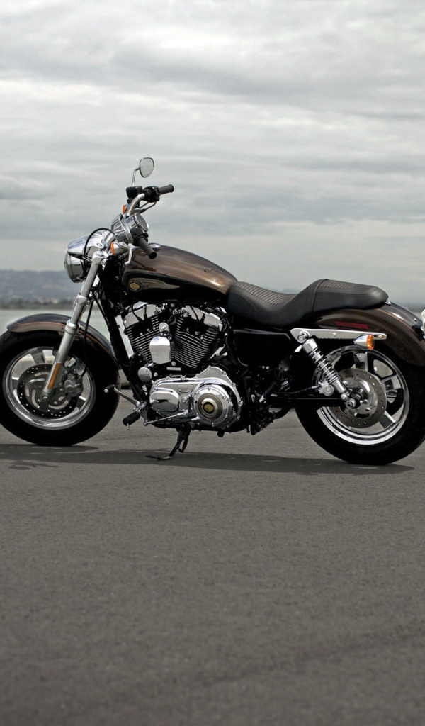 Тест-драйв мотоцикла Harley-Davidson XL 1200C Sportster Custom