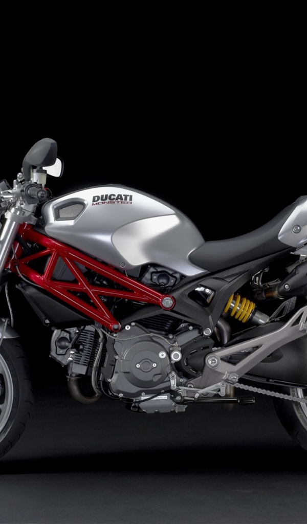 Мотоцикл Ducati monster 1100 metallic mix
