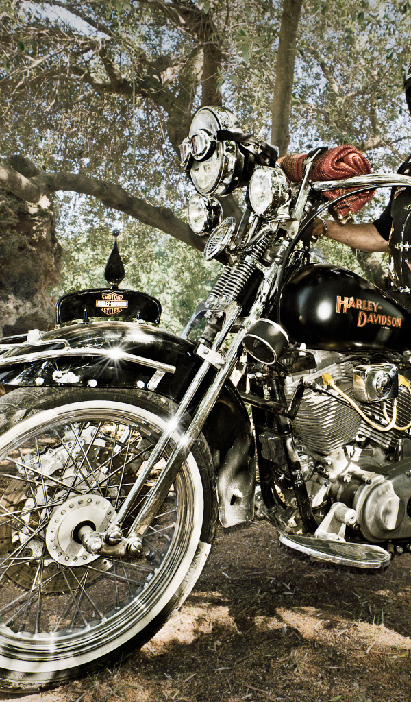 	   Biker on a Harley Davidson