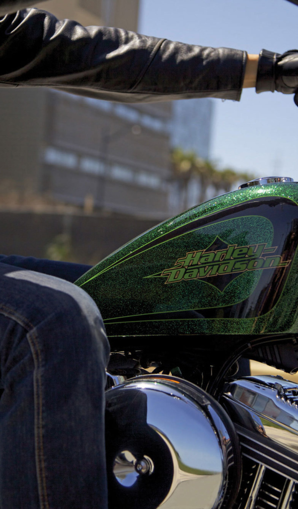 Тест-драйв мотоцикла Harley-Davidson XL 1200V Sportster Seventy-Two