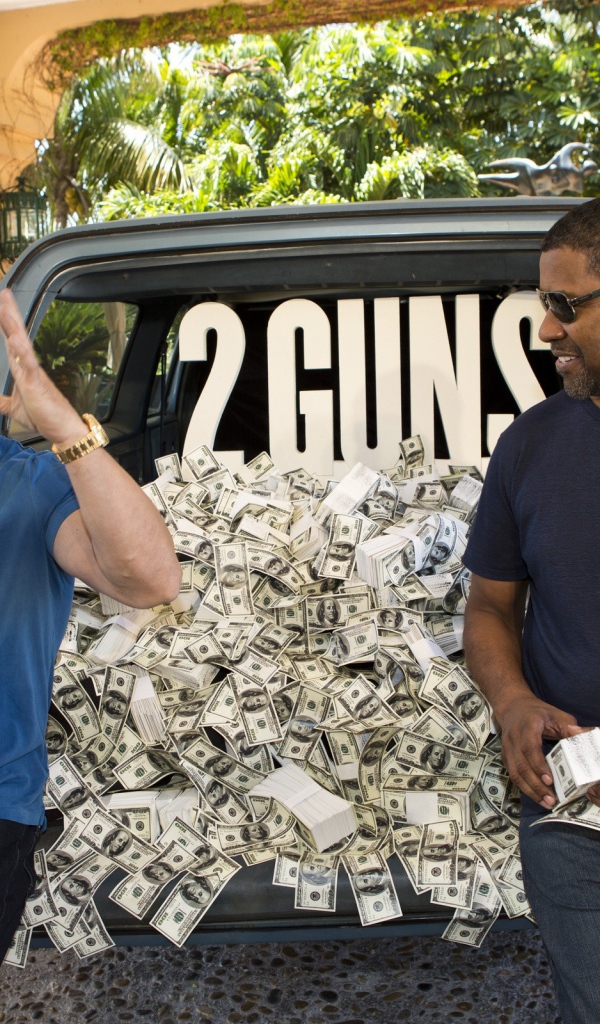 2 пушки и деньги